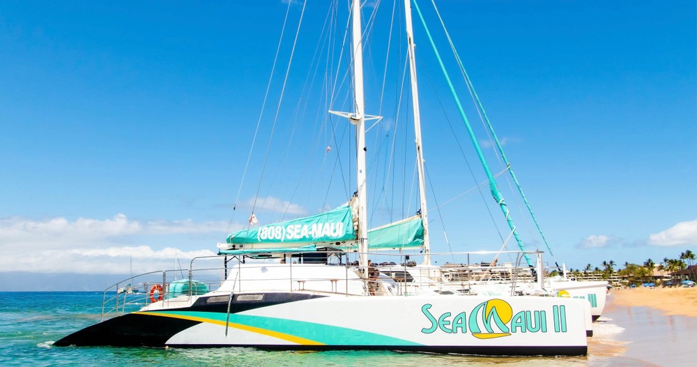 Whale Watch Tour